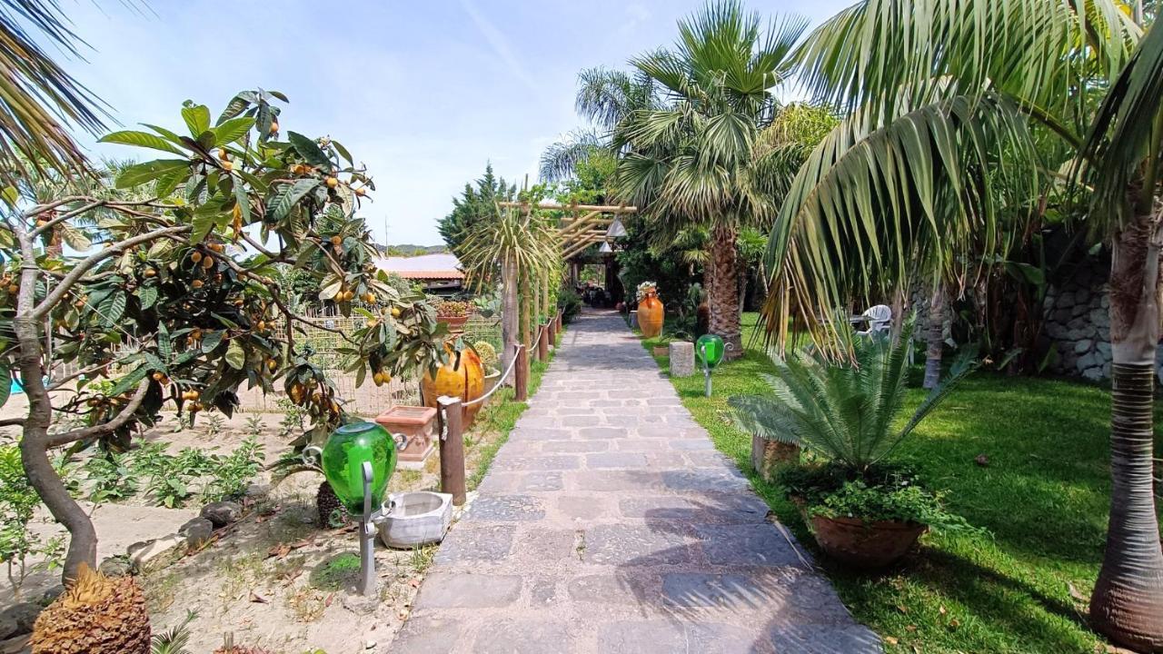 เรสซิเดนซ์ วิลลา คริสตินา Bed & Breakfast Forio  ภายนอก รูปภาพ