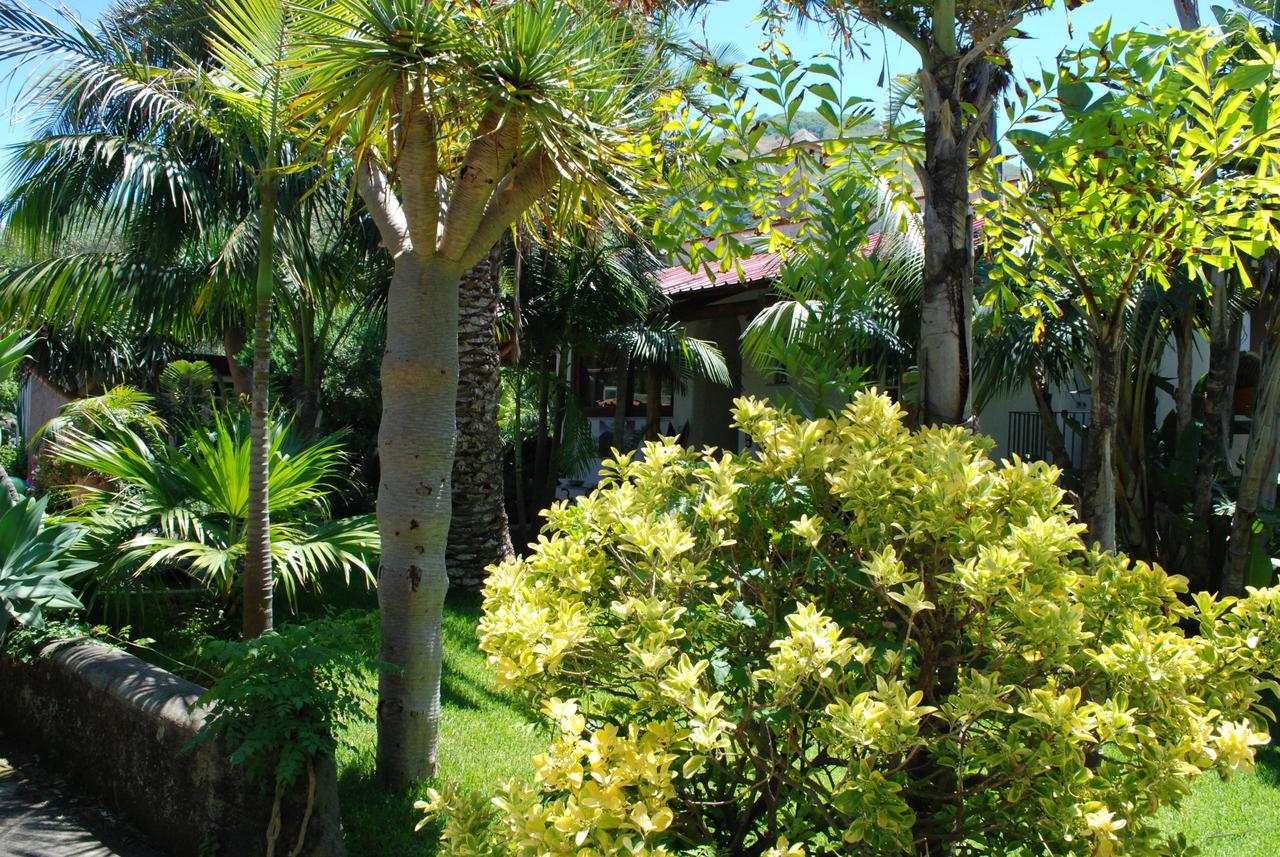 เรสซิเดนซ์ วิลลา คริสตินา Bed & Breakfast Forio  ภายนอก รูปภาพ
